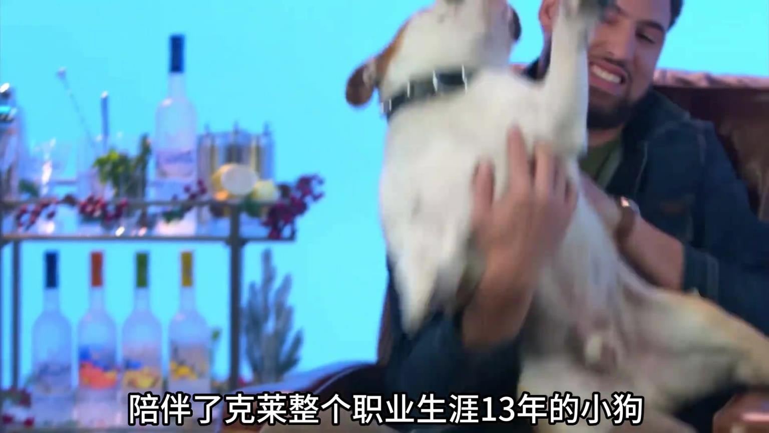 陪伴克萊13年的小狗去世了，不敢相信克萊得多么傷心